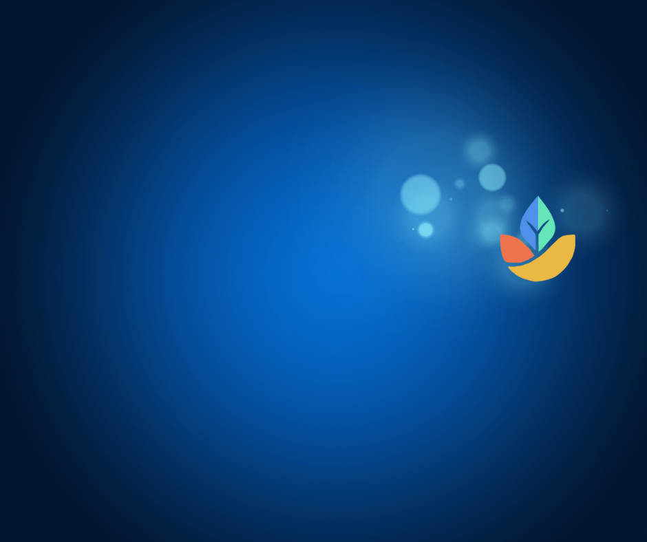 6 Week Weight Loss Blueprint