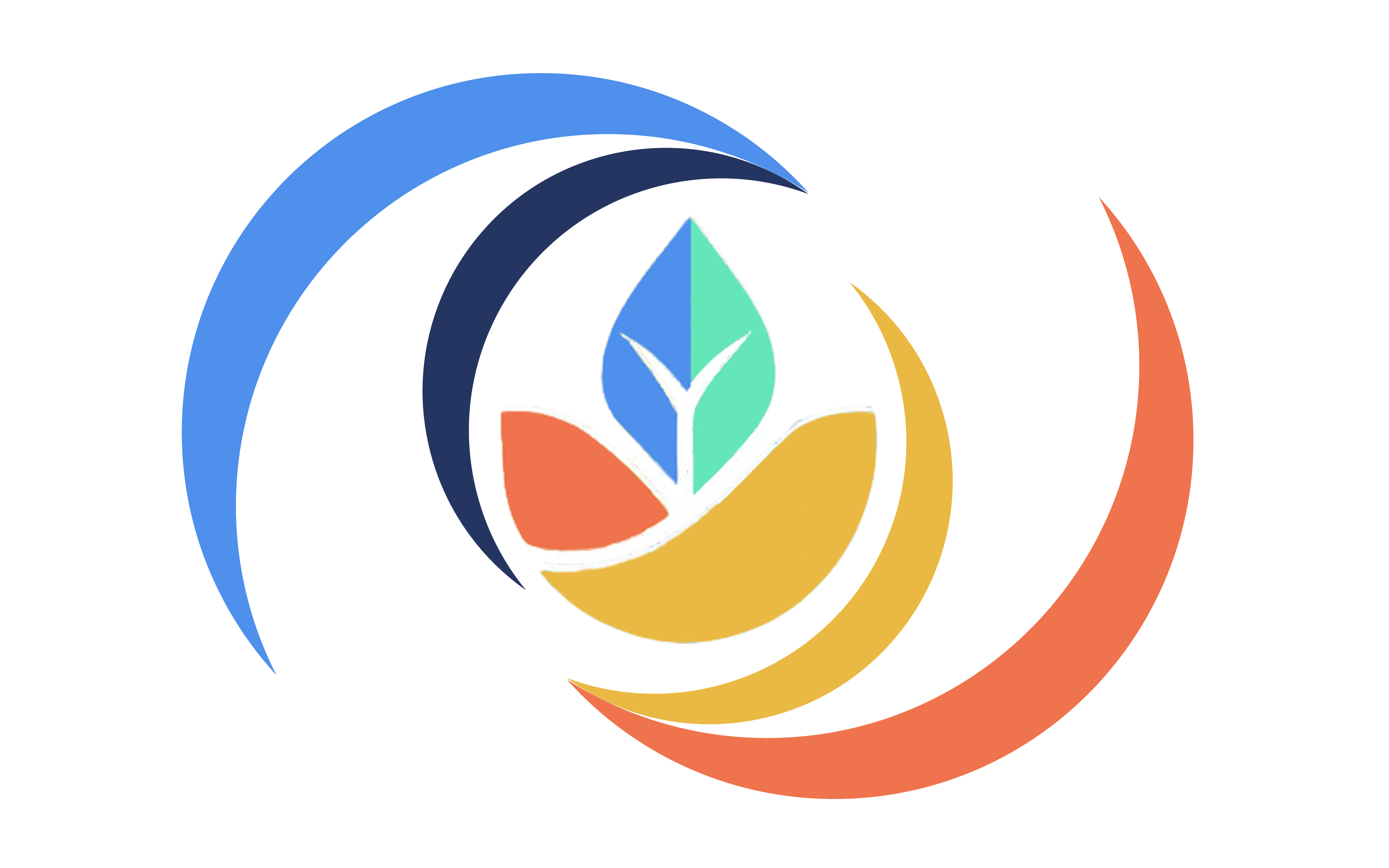 Optimal Life